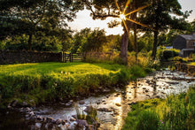 Load image into Gallery viewer, Plate 4 - Downham Spring Brook at Sunset