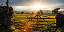 Load image into Gallery viewer, Plate 2 - Downham Gate After Storm