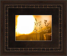 Load image into Gallery viewer, Plate 3 - Spring Brook Grasses