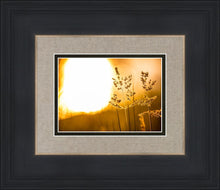 Load image into Gallery viewer, Plate 3 - Spring Brook Grasses