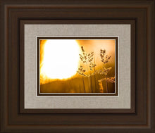 Load image into Gallery viewer, Plate 3 - Spring Brook Grasses