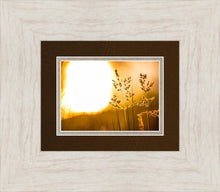 Load image into Gallery viewer, Plate 3 - Spring Brook Grasses