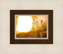Load image into Gallery viewer, Plate 3 - Spring Brook Grasses