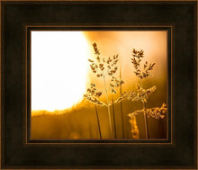 Load image into Gallery viewer, Plate 3 - Spring Brook Grasses