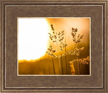 Load image into Gallery viewer, Plate 3 - Spring Brook Grasses