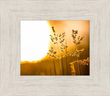 Load image into Gallery viewer, Plate 3 - Spring Brook Grasses