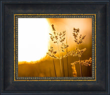 Load image into Gallery viewer, Plate 3 - Spring Brook Grasses