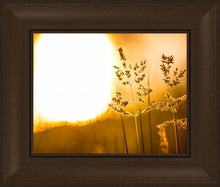 Load image into Gallery viewer, Plate 3 - Spring Brook Grasses