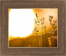 Load image into Gallery viewer, Plate 3 - Spring Brook Grasses