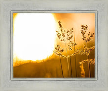 Load image into Gallery viewer, Plate 3 - Spring Brook Grasses