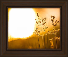 Load image into Gallery viewer, Plate 3 - Spring Brook Grasses