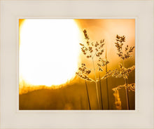 Load image into Gallery viewer, Plate 3 - Spring Brook Grasses