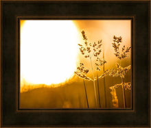 Load image into Gallery viewer, Plate 3 - Spring Brook Grasses