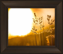 Load image into Gallery viewer, Plate 3 - Spring Brook Grasses