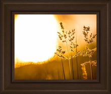 Load image into Gallery viewer, Plate 3 - Spring Brook Grasses