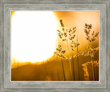 Load image into Gallery viewer, Plate 3 - Spring Brook Grasses
