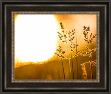 Load image into Gallery viewer, Plate 3 - Spring Brook Grasses