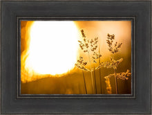 Load image into Gallery viewer, Plate 3 - Spring Brook Grasses