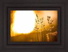 Load image into Gallery viewer, Plate 3 - Spring Brook Grasses