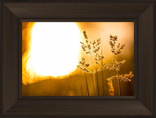Load image into Gallery viewer, Plate 3 - Spring Brook Grasses