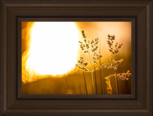 Load image into Gallery viewer, Plate 3 - Spring Brook Grasses
