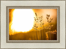 Load image into Gallery viewer, Plate 3 - Spring Brook Grasses