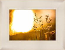 Load image into Gallery viewer, Plate 3 - Spring Brook Grasses