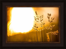 Load image into Gallery viewer, Plate 3 - Spring Brook Grasses
