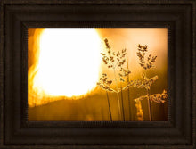 Load image into Gallery viewer, Plate 3 - Spring Brook Grasses