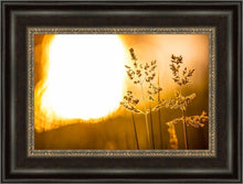 Load image into Gallery viewer, Plate 3 - Spring Brook Grasses