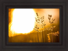 Load image into Gallery viewer, Plate 3 - Spring Brook Grasses
