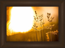 Load image into Gallery viewer, Plate 3 - Spring Brook Grasses