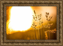 Load image into Gallery viewer, Plate 3 - Spring Brook Grasses