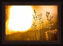 Load image into Gallery viewer, Plate 3 - Spring Brook Grasses