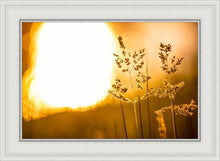 Load image into Gallery viewer, Plate 3 - Spring Brook Grasses