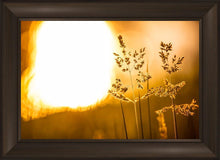 Load image into Gallery viewer, Plate 3 - Spring Brook Grasses