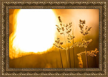 Load image into Gallery viewer, Plate 3 - Spring Brook Grasses