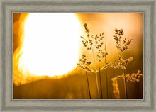 Load image into Gallery viewer, Plate 3 - Spring Brook Grasses