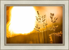 Load image into Gallery viewer, Plate 3 - Spring Brook Grasses