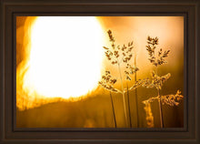 Load image into Gallery viewer, Plate 3 - Spring Brook Grasses
