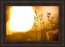 Load image into Gallery viewer, Plate 3 - Spring Brook Grasses