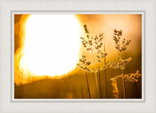 Load image into Gallery viewer, Plate 3 - Spring Brook Grasses