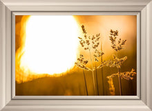 Load image into Gallery viewer, Plate 3 - Spring Brook Grasses