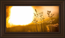 Load image into Gallery viewer, Plate 3 - Spring Brook Grasses