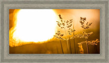 Load image into Gallery viewer, Plate 3 - Spring Brook Grasses