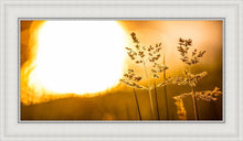 Load image into Gallery viewer, Plate 3 - Spring Brook Grasses