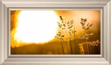 Load image into Gallery viewer, Plate 3 - Spring Brook Grasses