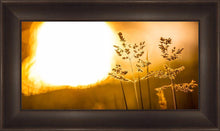 Load image into Gallery viewer, Plate 3 - Spring Brook Grasses