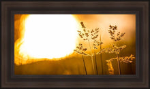 Load image into Gallery viewer, Plate 3 - Spring Brook Grasses