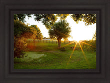 Load image into Gallery viewer, Plate 2 - Preparing a Pond